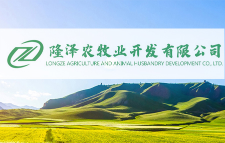 内蒙古网站建设,内蒙古隆泽农牧业开发有限责任公司