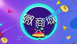 微邦网络,呼和浩特微邦网络解析微商城与小程序商城核心区别