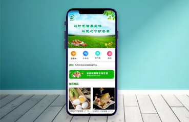 内蒙古网站优化,林间味