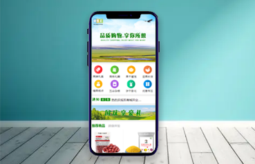 内蒙古网站优化,内蒙古蒙礼供应链管理有限公司